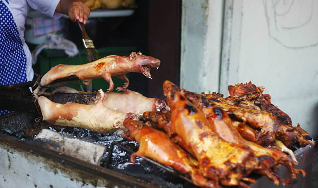 10 strange foods from around the world GUINEA PIG